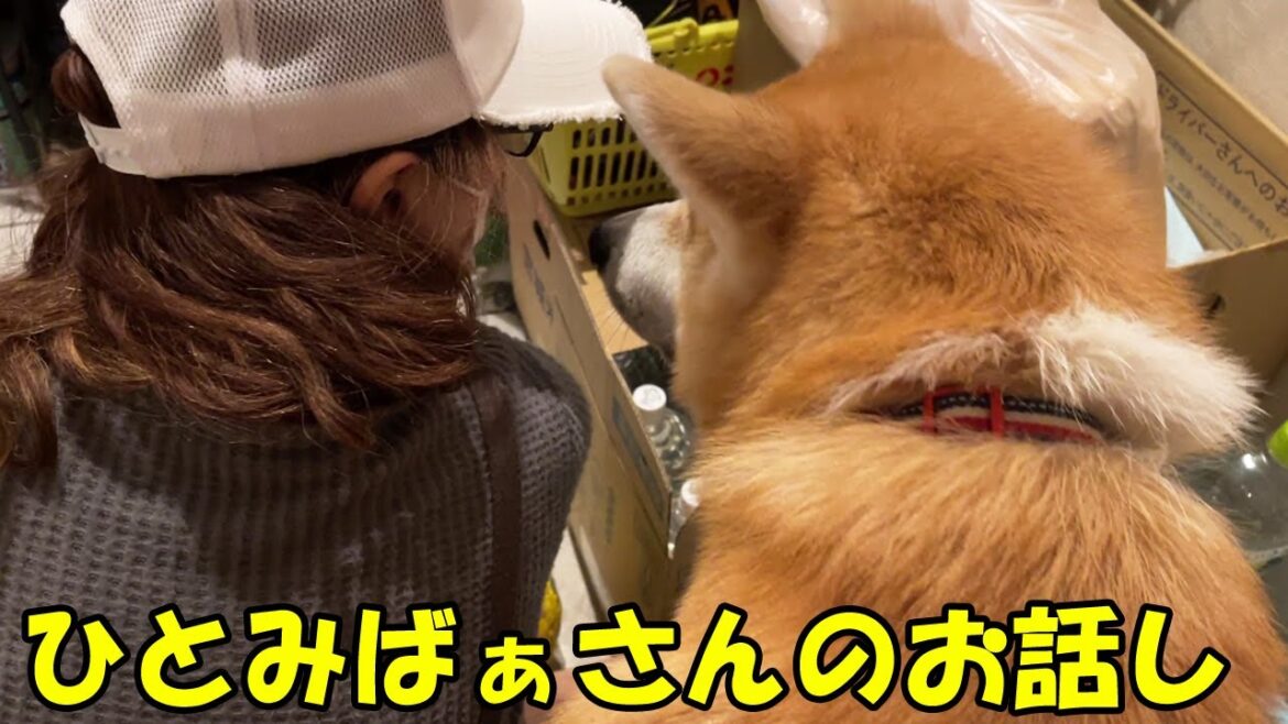 秋田犬そらとひとみばぁさんのお話し