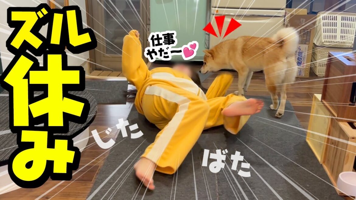 仕事に行きたくないと駄々をこねる娘を心配する柴犬が優しい