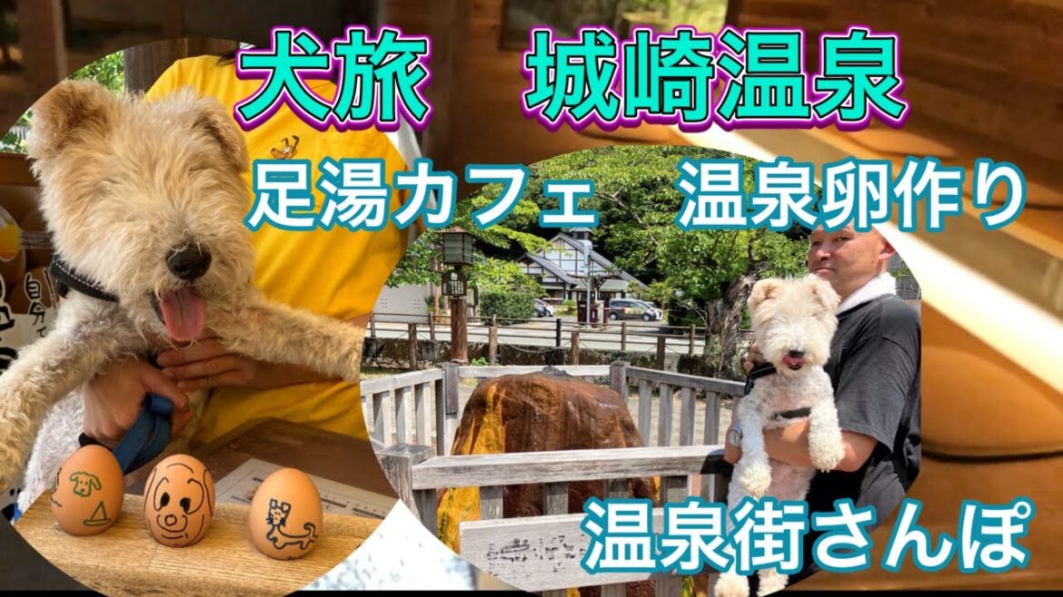 【犬連れ旅　城崎温泉】　犬OKの足湯カフェ、温泉卵作りなんかで温泉街さんぽを楽しむ