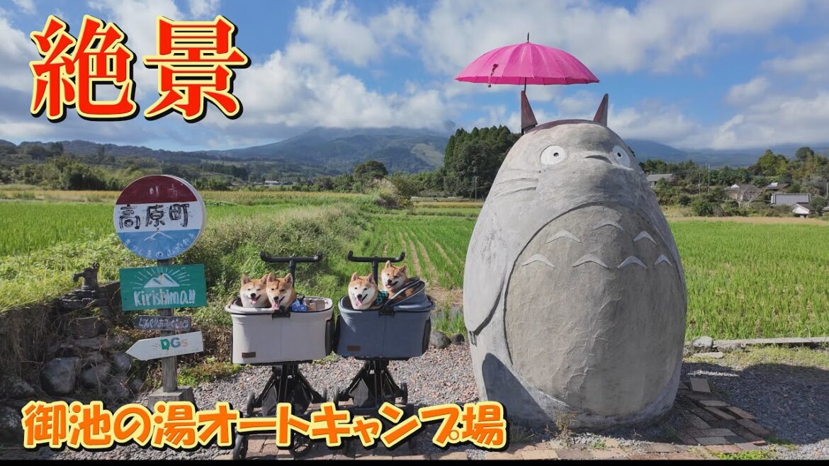 史上最悪となるキャンプの初日は、みんな笑顔でした
