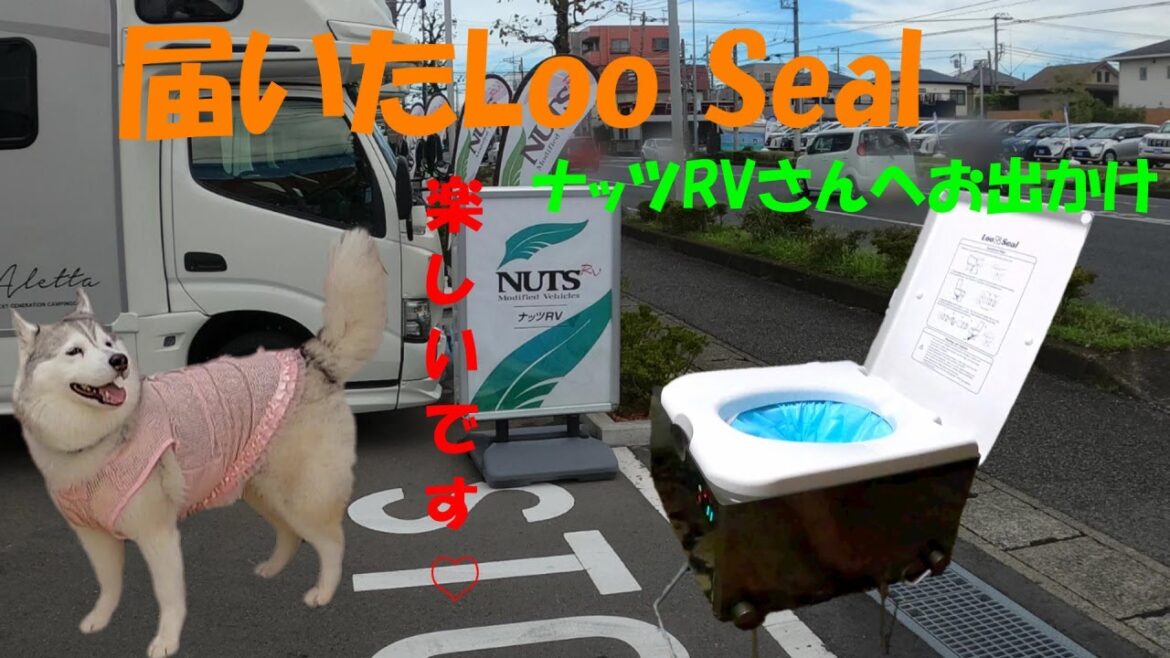 さくらとポータブルトイレ　【シベリアンハスキー　ナッツRV　Loo Seal】