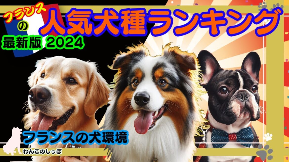 【ランキング】フランスの人気犬種と犬事情