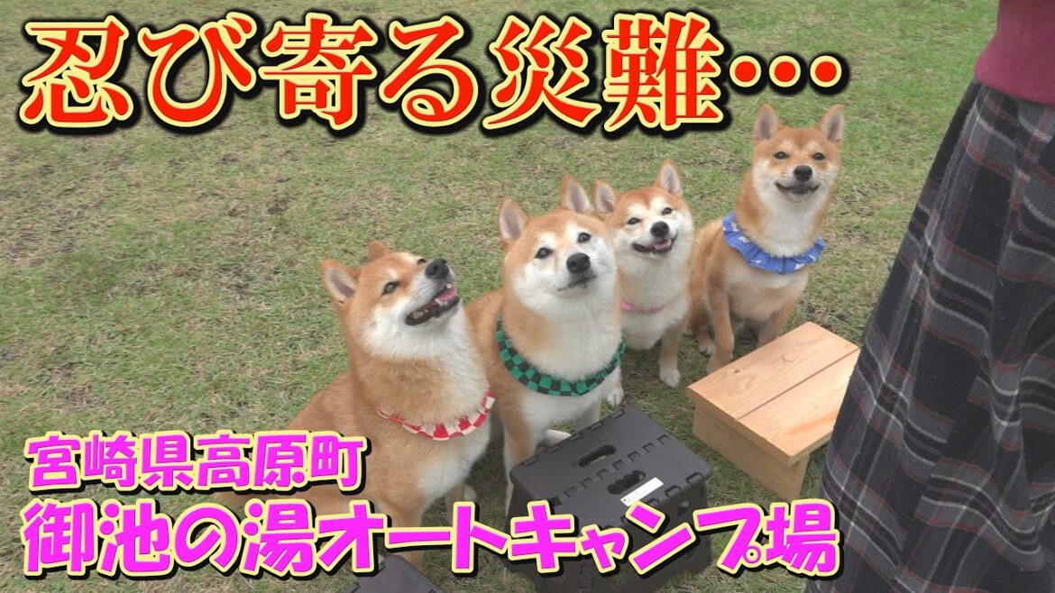 大はしゃぎのキャンプ場に、線状降水帯が近づいてきました・・・
