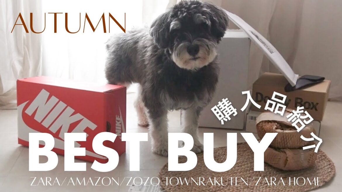【購入品紹介】秋の爆買い 🤎金額あり🤎 ZARA/AMAZON/ZOZO TOWN/RAKUTEN/ZARA HOME