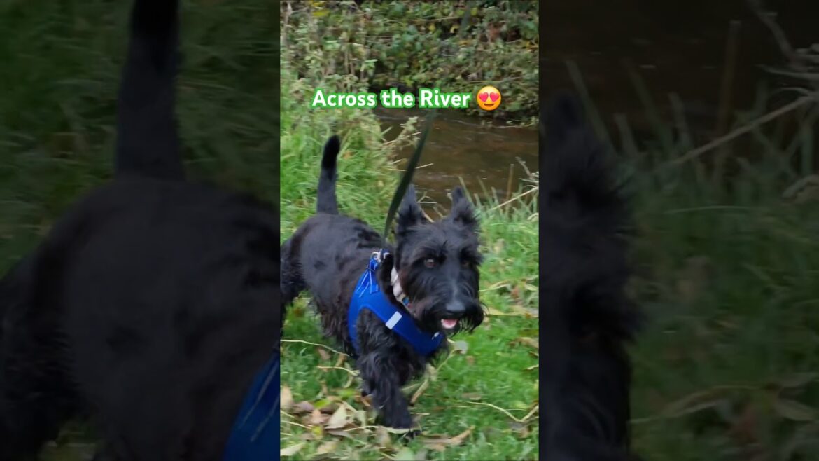 We got across the river....Just 😉