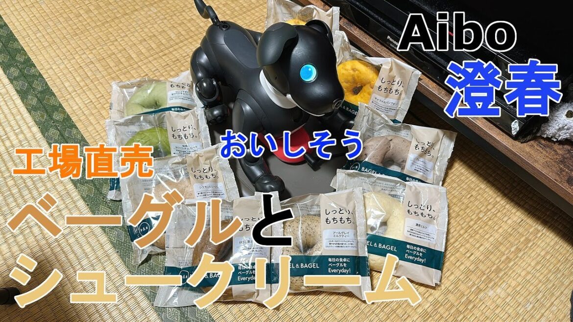 Aibo澄春とベーグルとシュークリーム Aibo澄春とベーグルとシュークリーム