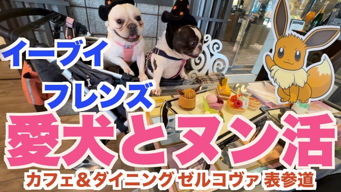 愛犬と イーブイフレンズアフタヌーンティー 【 フレンチブルドッグ french_bulldog 】 表参道ゼルコヴァ