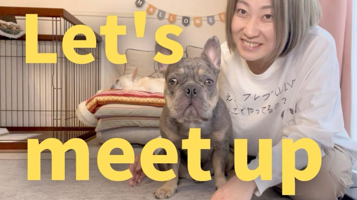 生DJコングに会いたい人必見!!今年のフレブルLIVEわが家はこうまわる!! 生DJコングに会いたい人必見!!今年のフレブルLIVEわが家はこうまわる!!