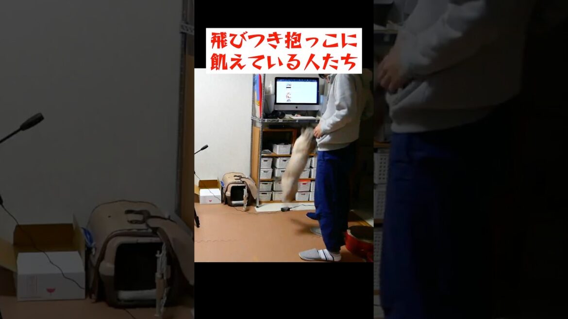貴重な飛びつき抱っこの瞬間がこちら