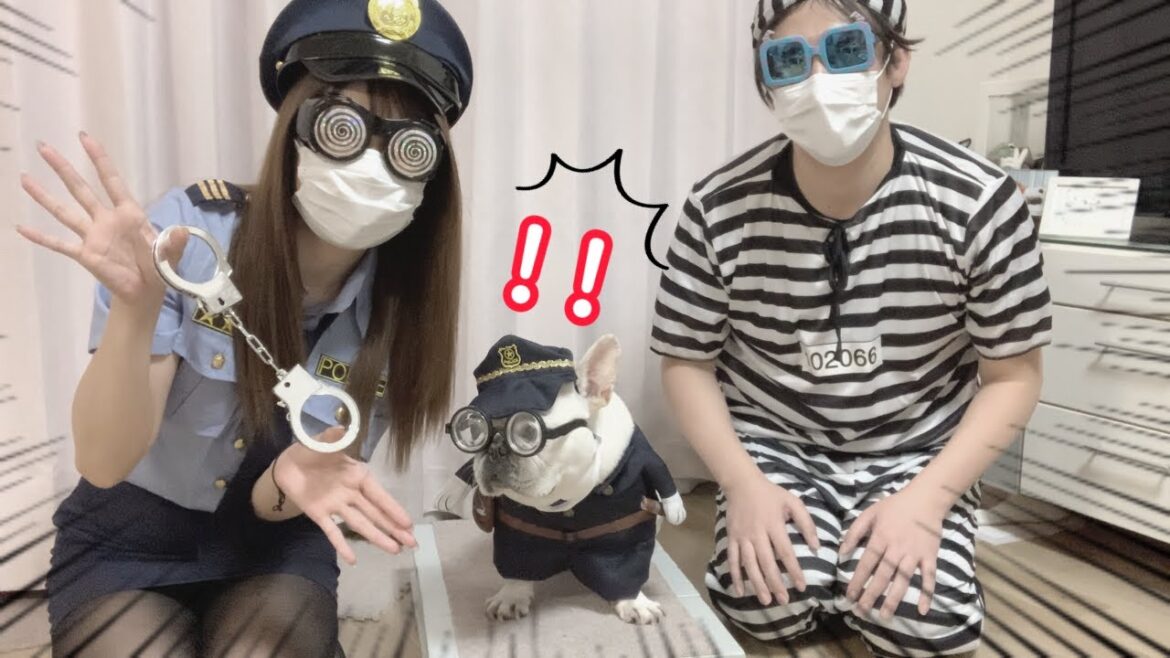 みんなでコスプレしたら…わちゃわちゃで楽しすぎたｗ【フレンチブルドッグ frenchbulldog】