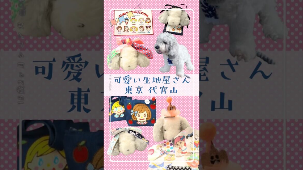 【15歳2ヶ月シニア犬との日常】可愛い生地をゲットして、🎀愛犬用手作りリボンを作ったよ