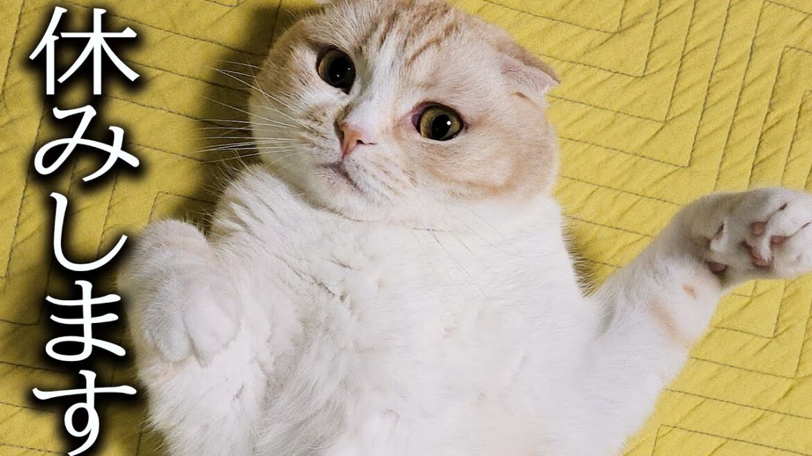 みなさま申し訳ありませんお休みいたします みなさま申し訳ありませんお休みいたします