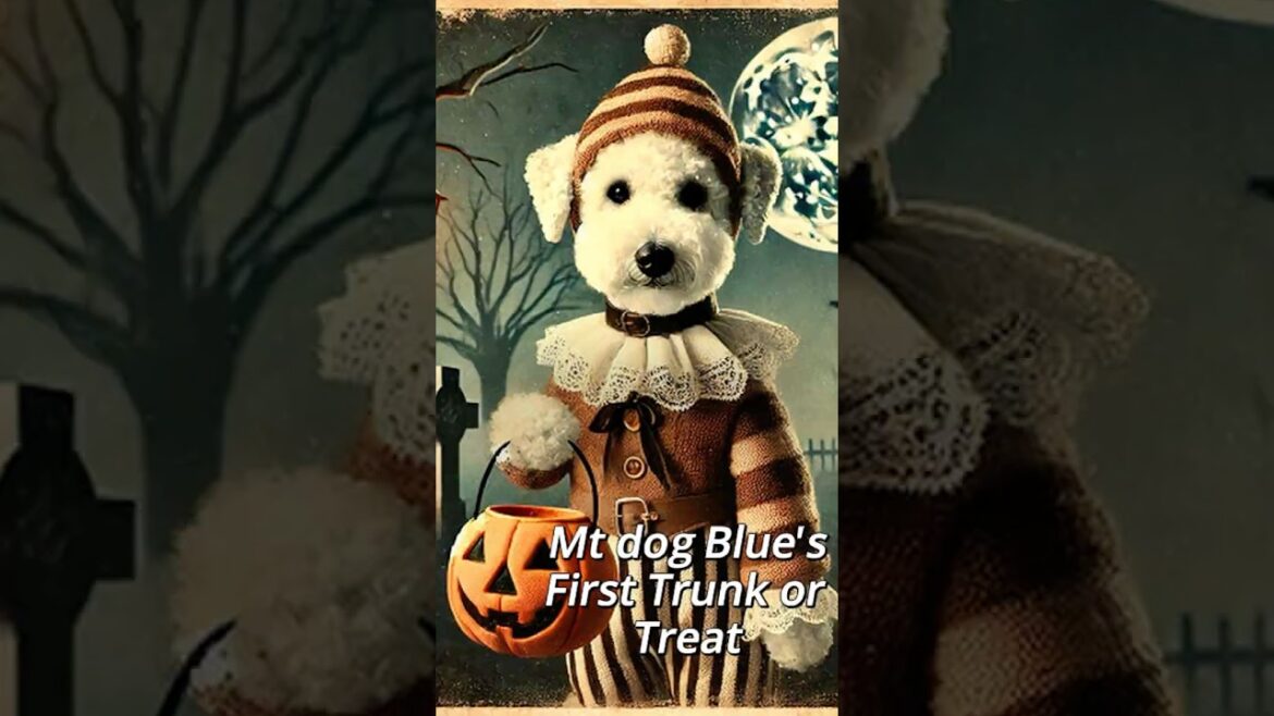 My dog Blue’s first trunk or treat #halloween #bedlingtonterrier #trunkortreat #trickortreat #dogs My dog Blue's first trunk or treat #halloween #bedlingtonterrier #trunkortreat #trickortreat #dogs