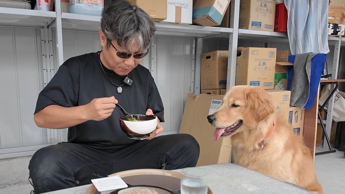 大人になっても忘れてはいけない大切な事とは。大満足の気持ちを忘れずに！【Golden Retriever japan】