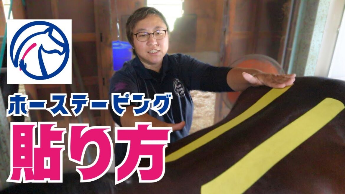 ホーステーピングの貼り方とその効果