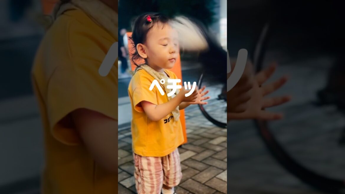 思わずペチッ！女の子の顔にシッポを当てちゃったバーニーズ