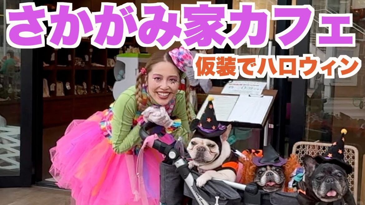 仮装して さかがみ家カフェ【 フレンチブルドッグ french_bulldog 】 sakagamike café