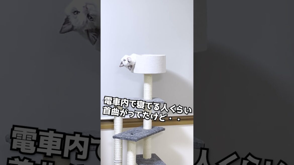 寝てるよね？首大丈夫？