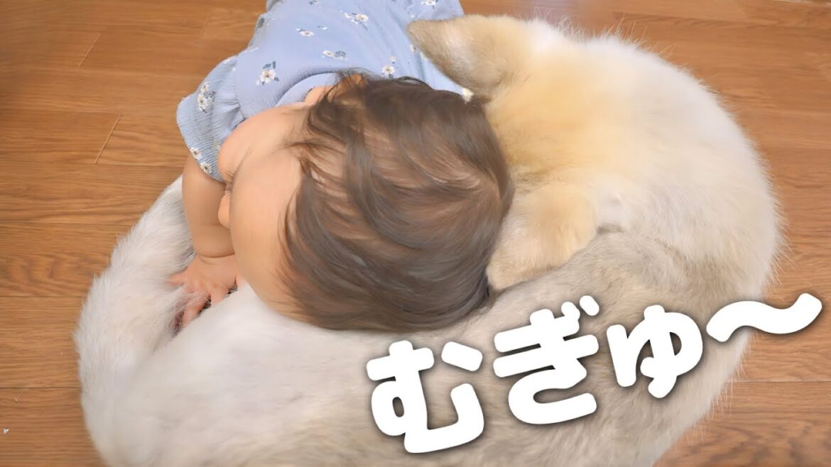 子犬から急成長した愛犬を全身で抱きしめて愛情を伝える一才児が可愛すぎました・・・