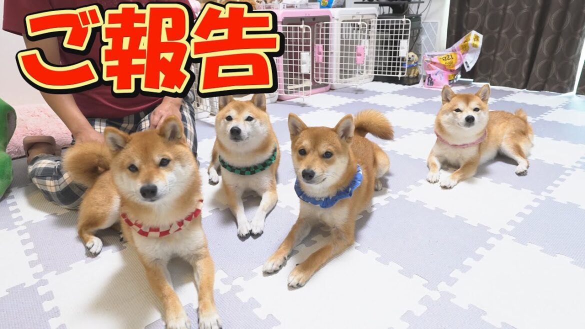 【必見】オフ会のお知らせです。