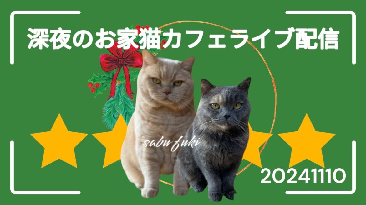 深夜のお家猫カフェライブ配信　２３５