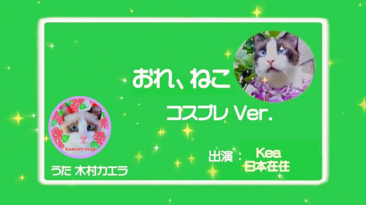 「おれ、ねこ」ケア ✕ コスプレ eテレ Hawaiian cat Kea Cosplay ver.