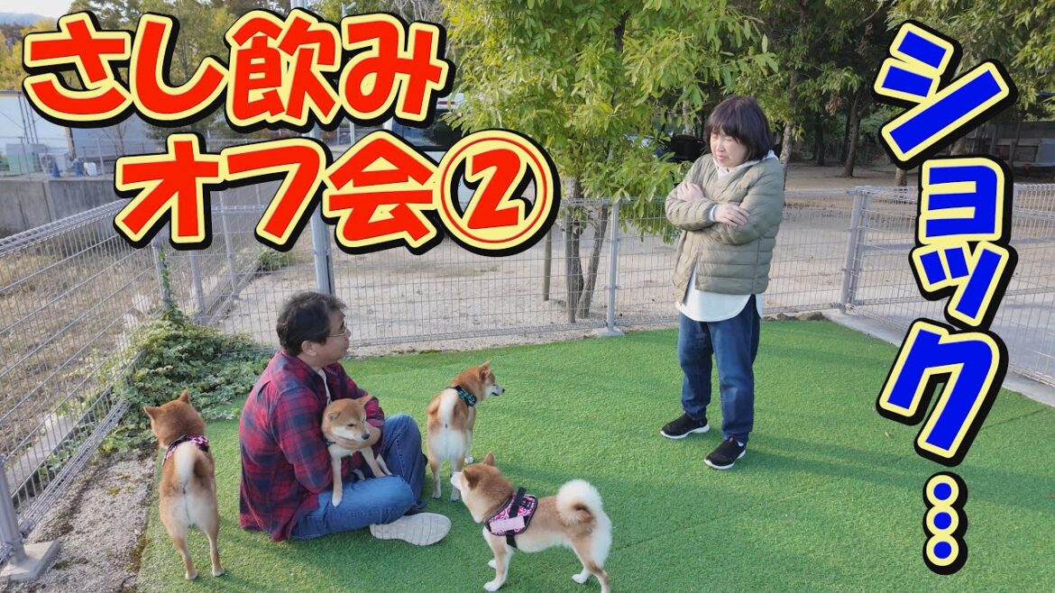 埼玉から来たのに、４兄妹が寄りつかない奥様を見て、思わず笑ってしまいました