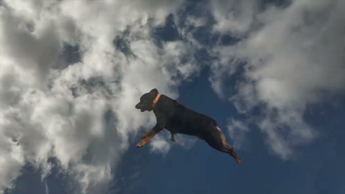 大空を走るロットワイラー