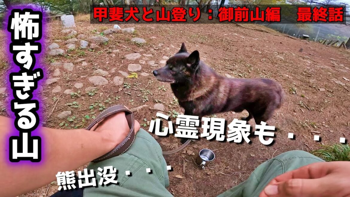 【熊】【心霊】甲斐犬と山登りしたら怖すぎました【犬と登山　御前山編　最終話】