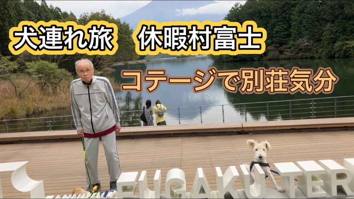 【犬連れ旅 静岡県 休暇村・富士】 老人と犬🐶 犬と泊まれるコテージと充実のビュッフェを楽しむ 【犬連れ旅 静岡県 休暇村・富士】 老人と犬🐶 犬と泊まれるコテージと充実のビュッフェを楽しむ