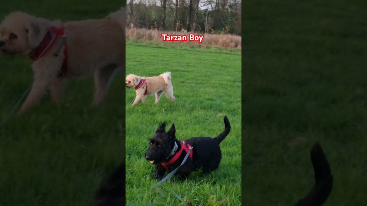 Last Days of Sunshine ๐ Last Days of Sunshine ๐