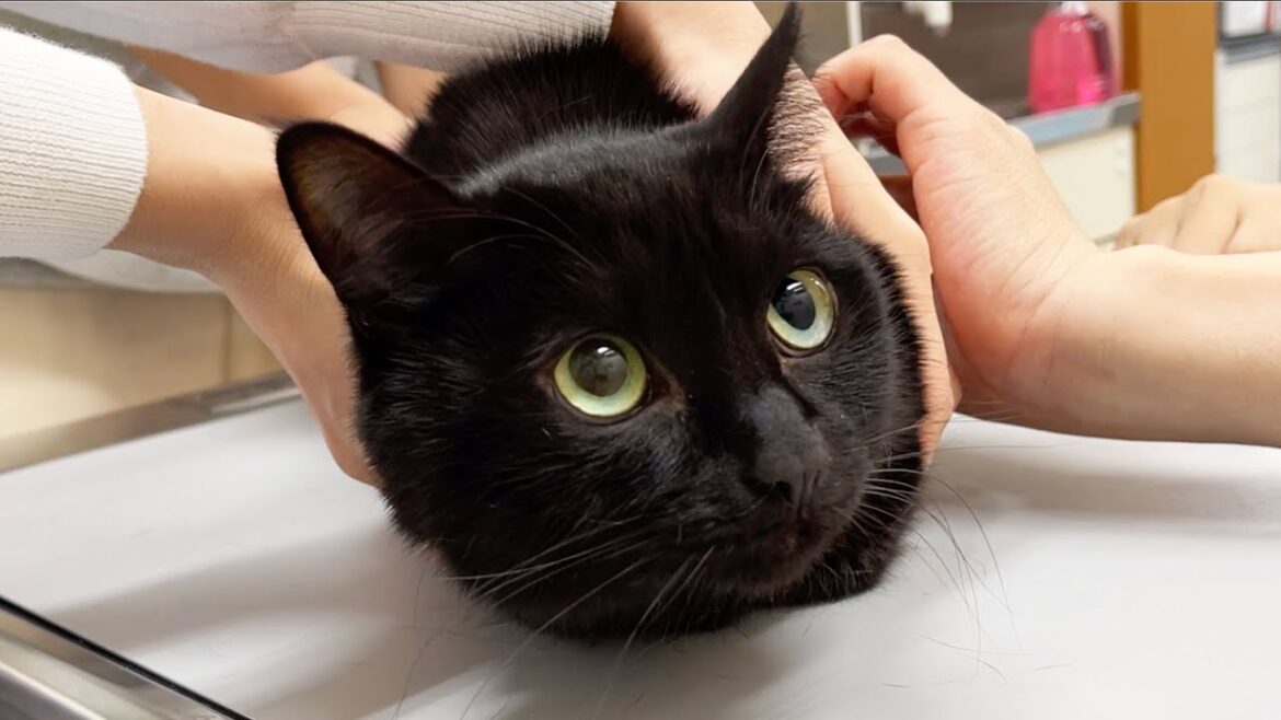 病院で、検査した結果… 病院で、検査した結果…