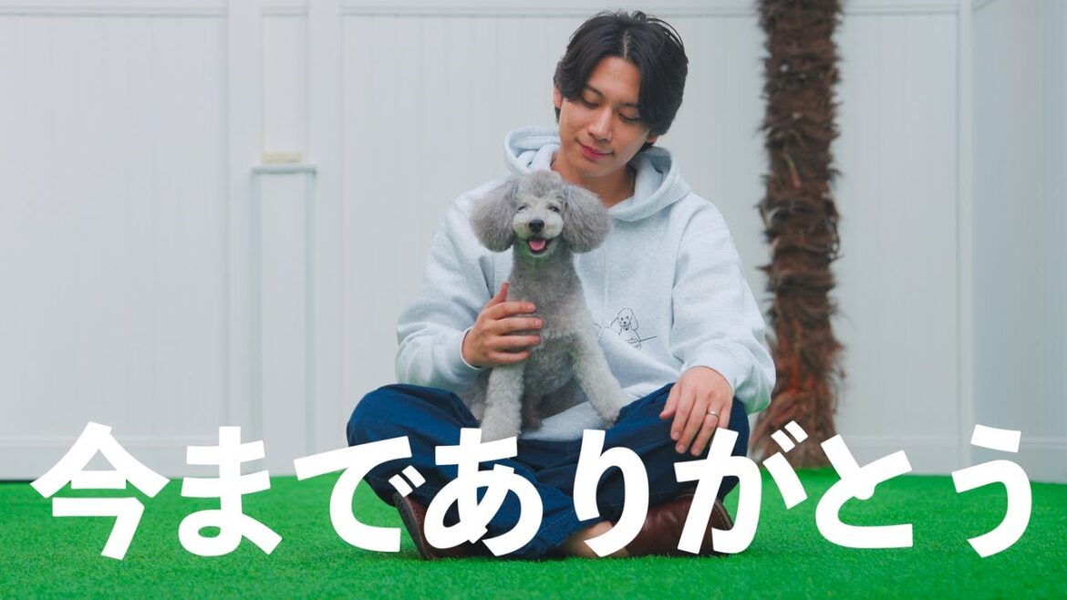 🐶「グリィのおみせやさん」閉店のお知らせと最後のグッズ紹介 🐶「グリィのおみせやさん」閉店のお知らせと最後のグッズ紹介