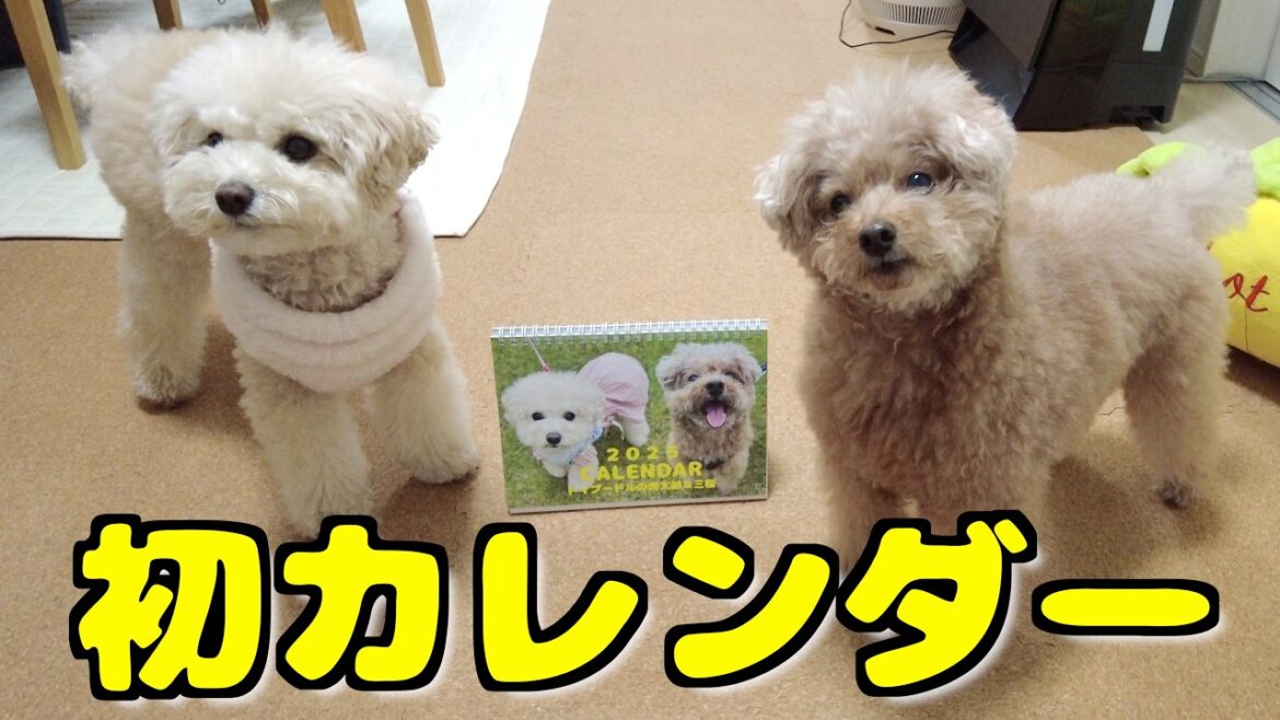 初めてのカレンダーが完成しました！！