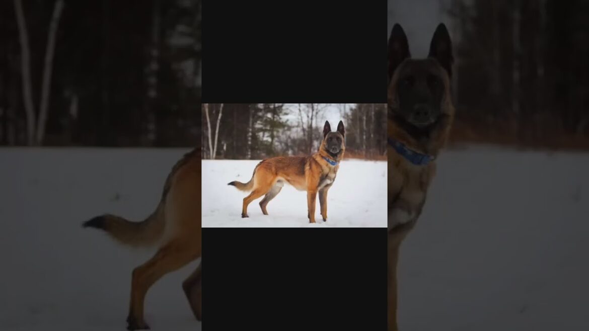 When Your Parents Ask 'Where’s All Your Money