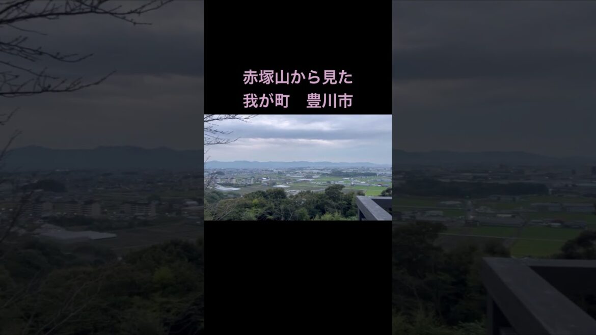 赤塚山から見た豊川市　#shorts #flatcoatedretriever #フラットコーテッドレトリバー