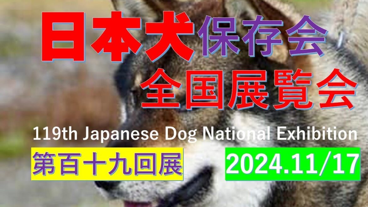 日本犬保存会全国展覧会（119th Japanese Dog National Exhibition）【Samurai dog TV】
