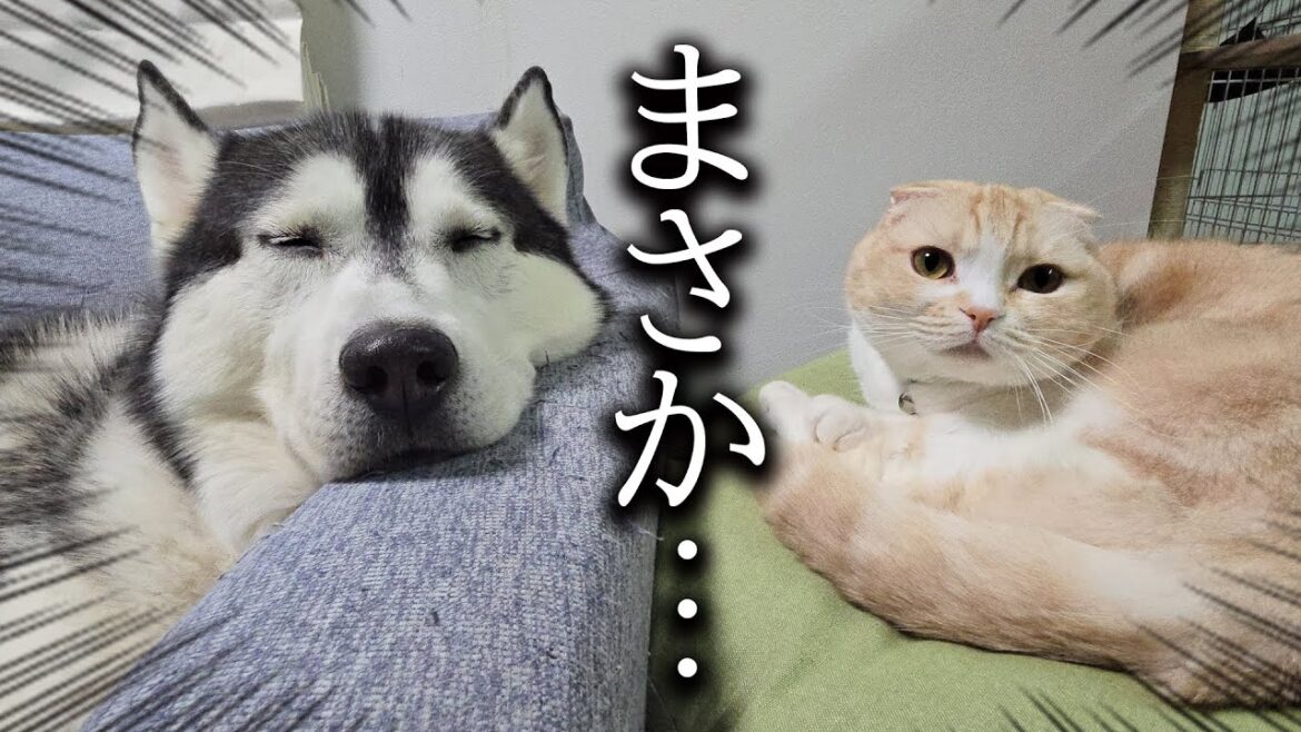 衝撃の出来事がありました...