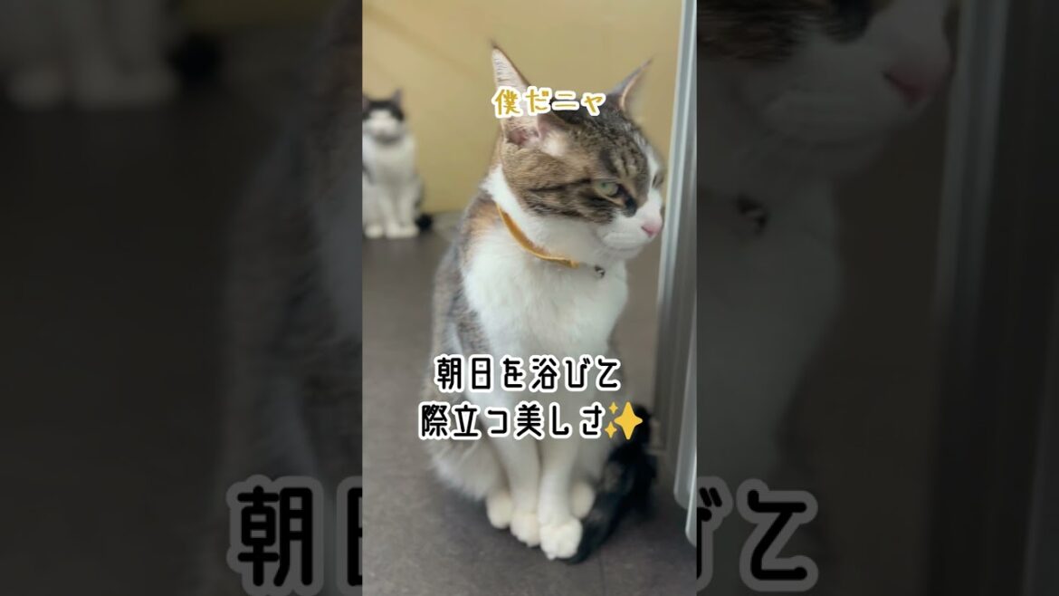暖まり中　warming up