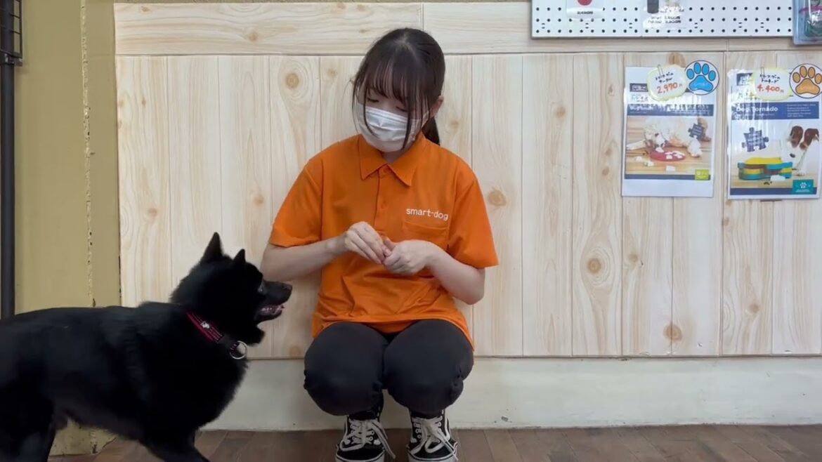 スキッパーキの”オセルくん”膝アップ”の練習！