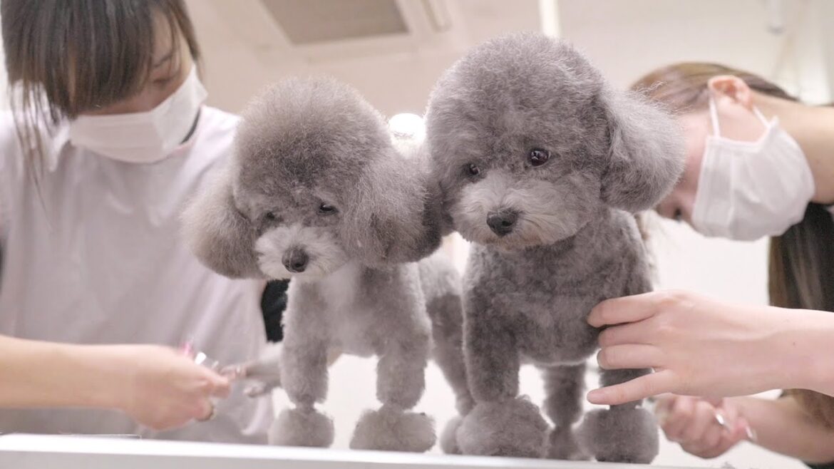 いつも一緒だよ いつも一緒だよ