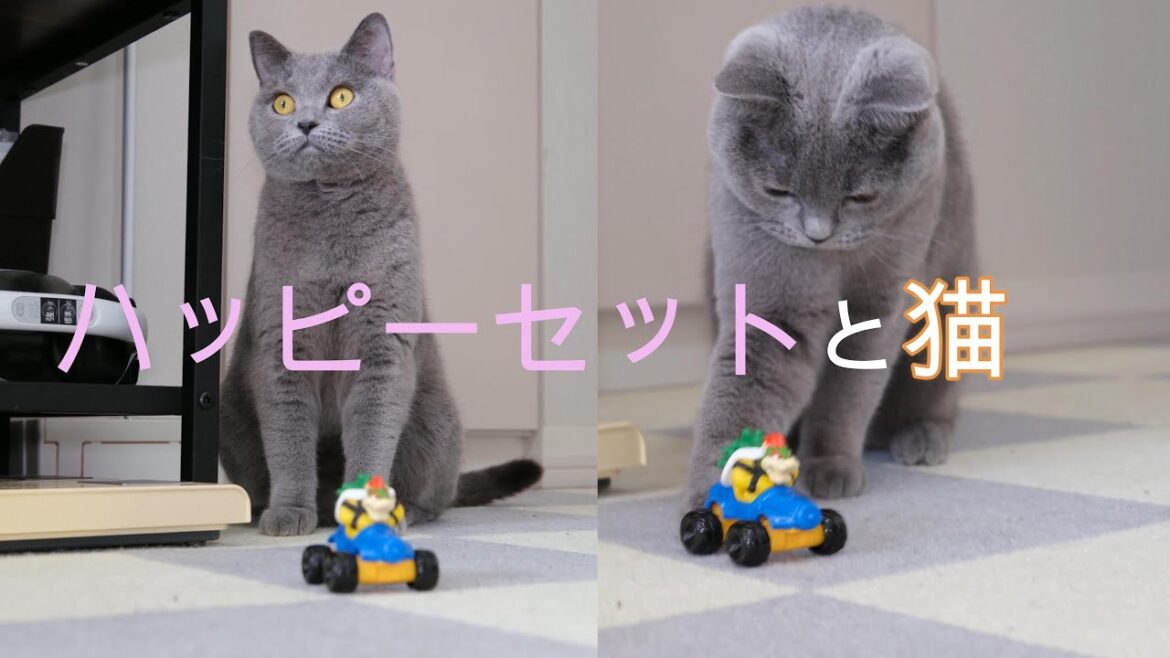 シャルトリューとハッピーセット