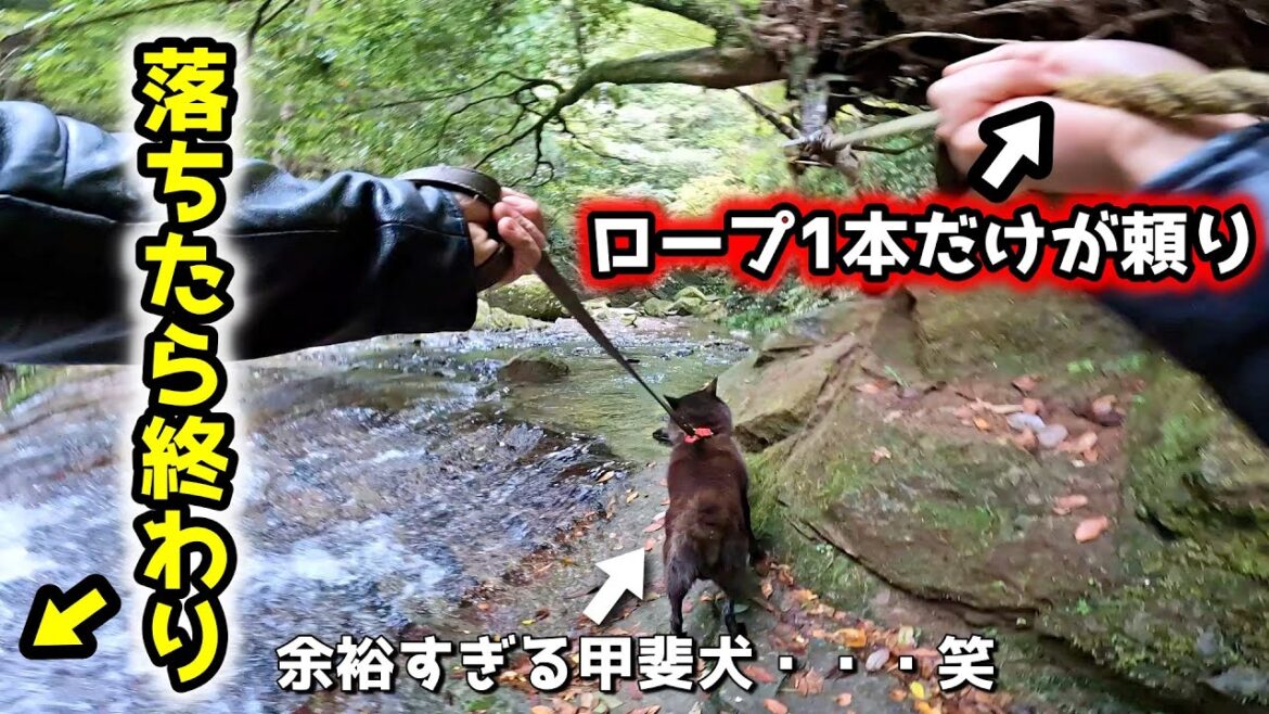 甲斐犬と滝を目指して山登りしたら、放送事故に【甲斐犬一休と男旅：南アルプス編　第１話】