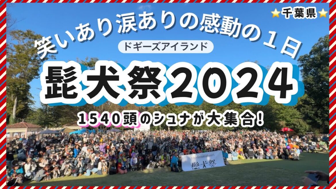 【髭犬祭2024】あの時の笑いと感動をもう一度☆ミニチュアシュナウザーの魅力あふれる可愛い動画☆ ドギーズアイランド ｜イベント