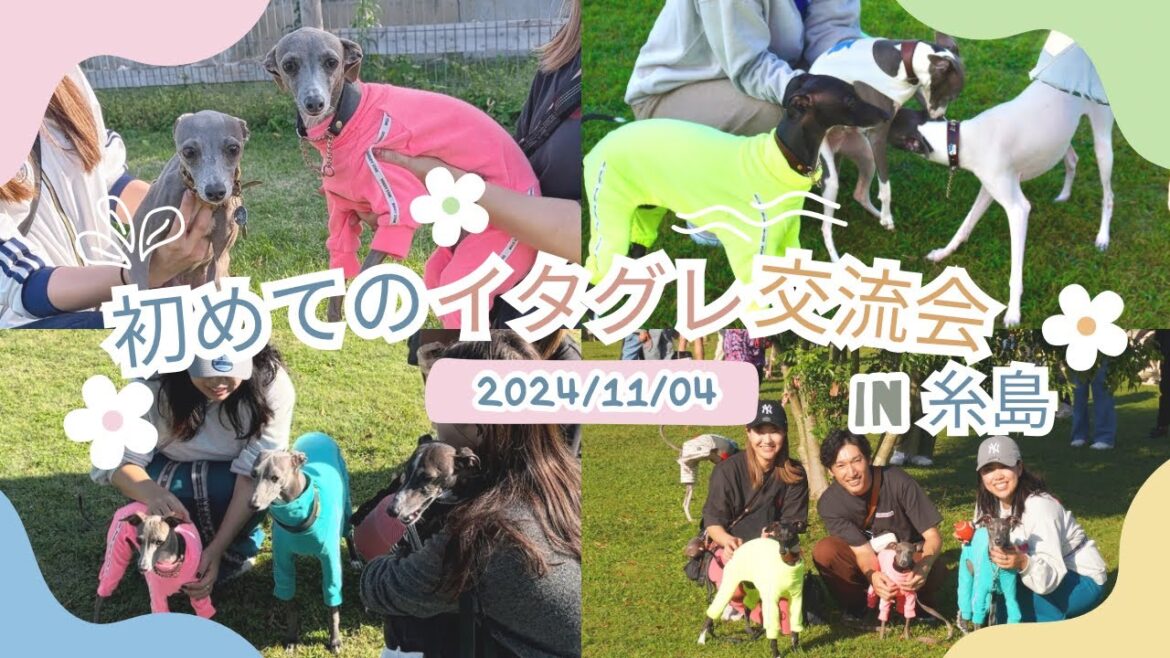 初めての【イタグレ交流会】へ行ってきた! 初めての【イタグレ交流会】へ行ってきた!