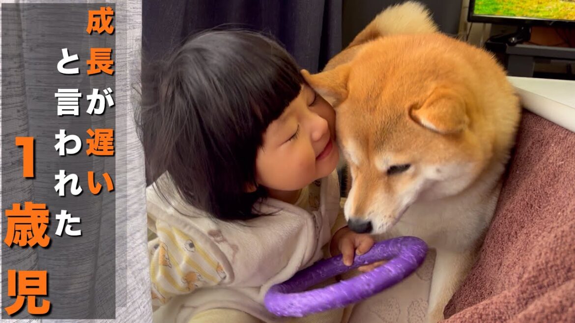 「言葉の成長が遅い」と言われた１歳5ヶ月の子と柴犬との触れ合い方