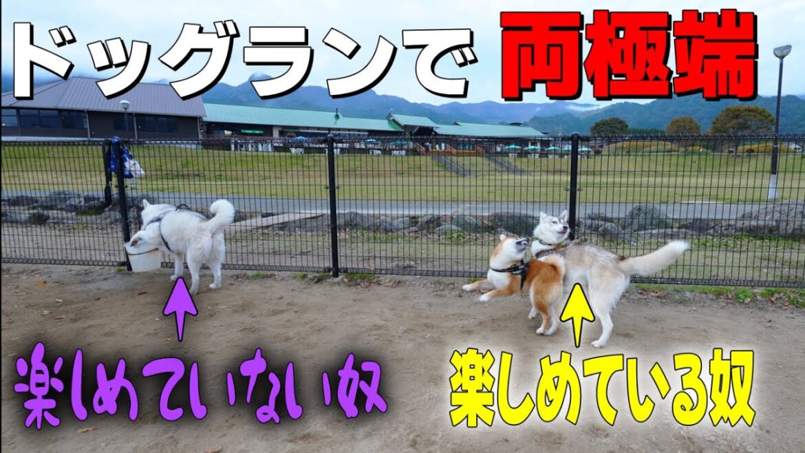 蓮が季桜に構わないからいじけちゃいました！