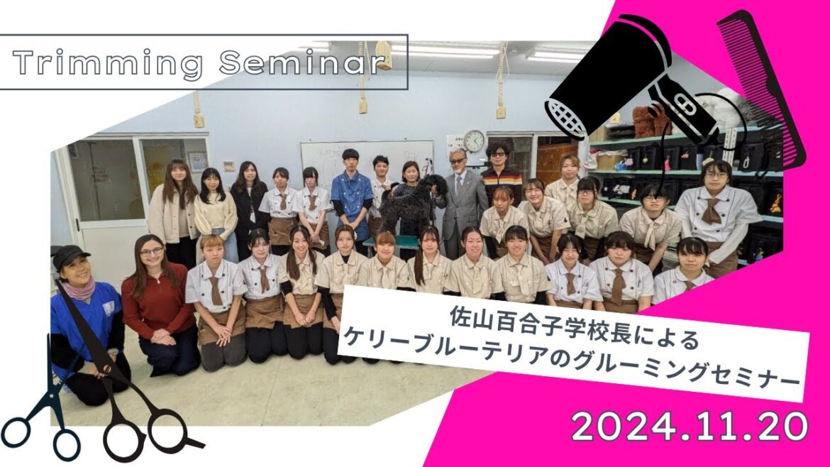 佐山百合子学校長によるケリーブルーテリアのグルーミングセミナー
