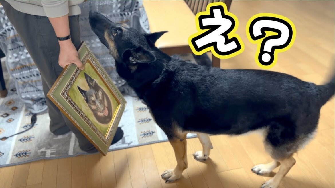 オジジからもらったクリスマスプレゼントがまさかの愛犬の肖像画でした！