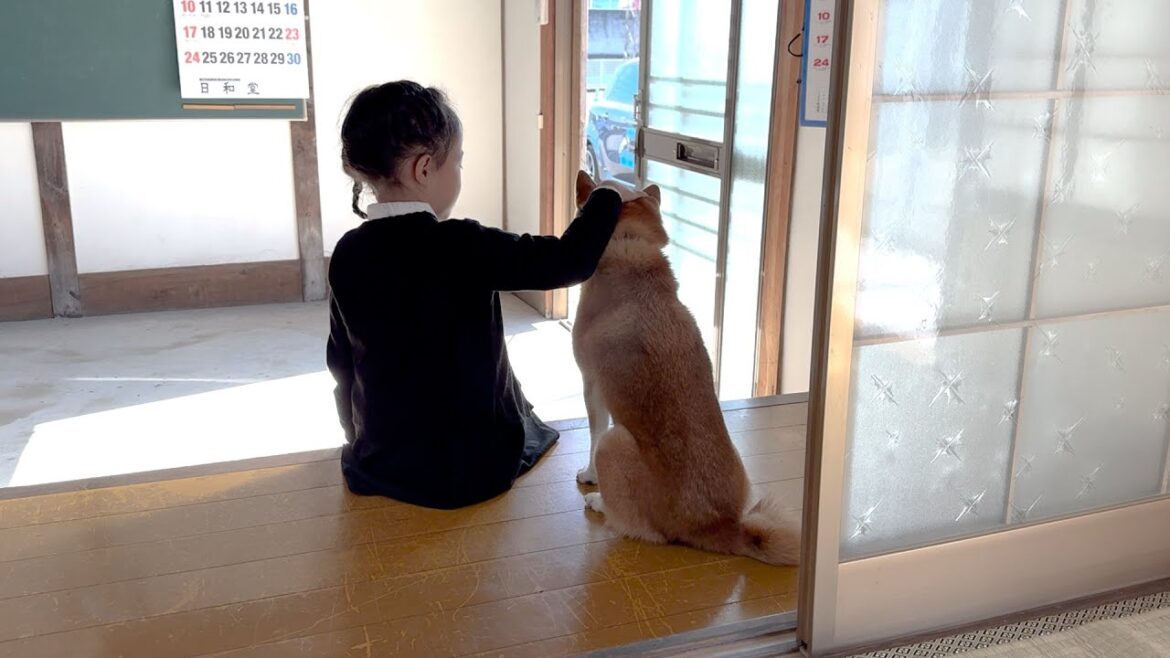 初めて法事に参加したら驚きの連続だった柴犬と６歳娘【高松の旅 中編】